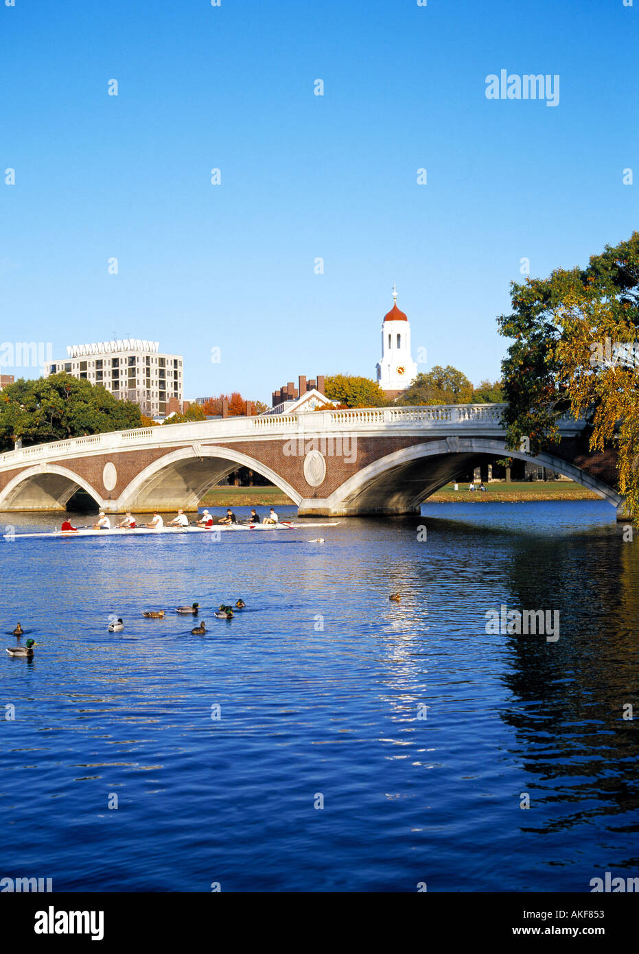 Boston Cambridge Harvard Charles River Stock Photo