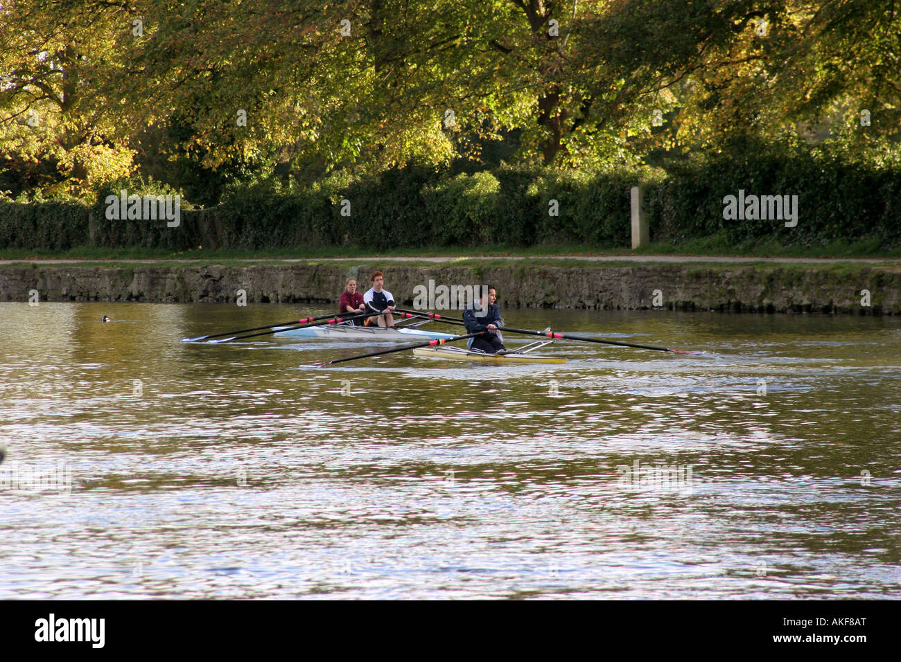 students rowing on river Thames in Oxford Stock Photo Alamy