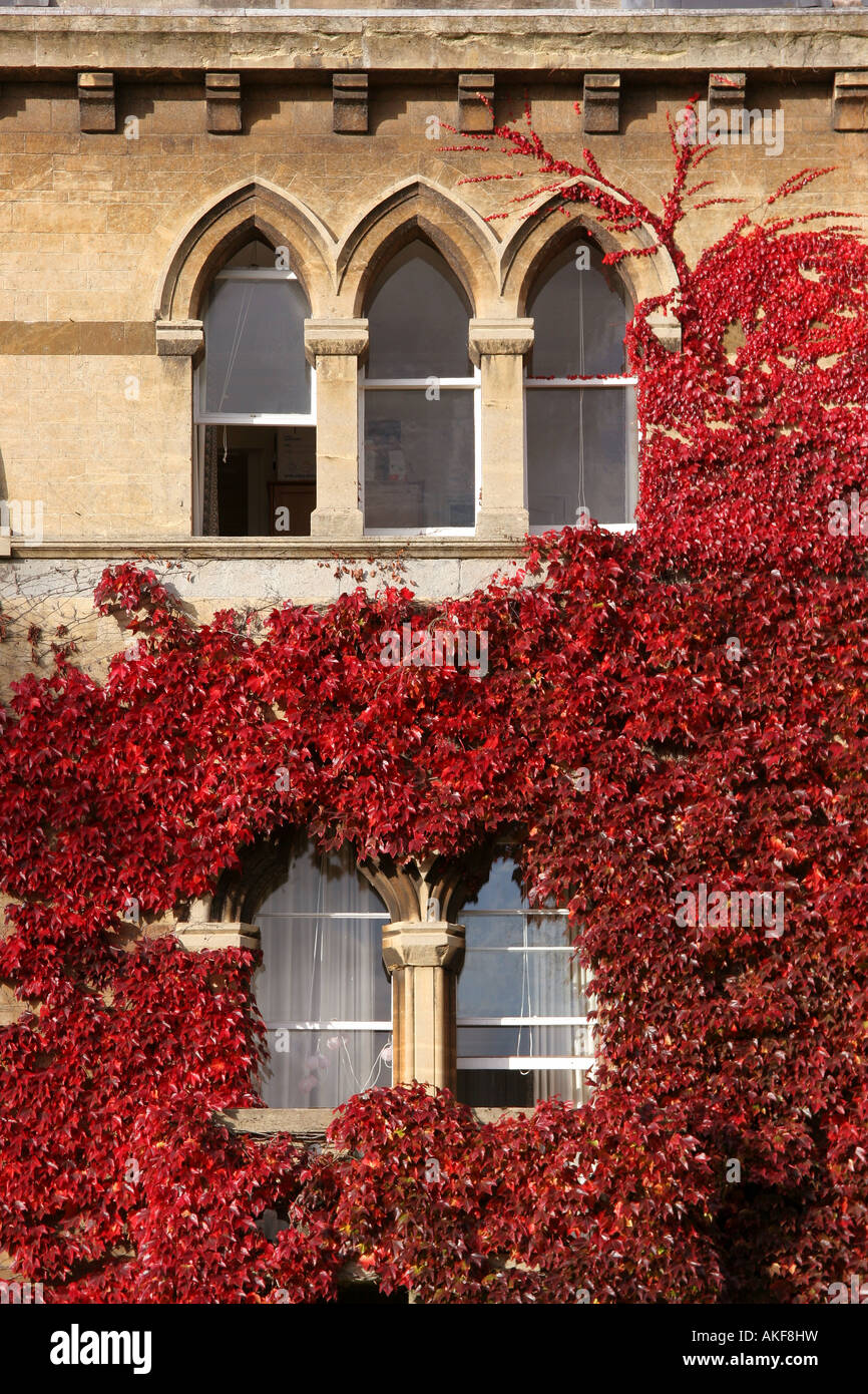 Red Ivy on Christchurch College Oxford University Stock Photo Alamy