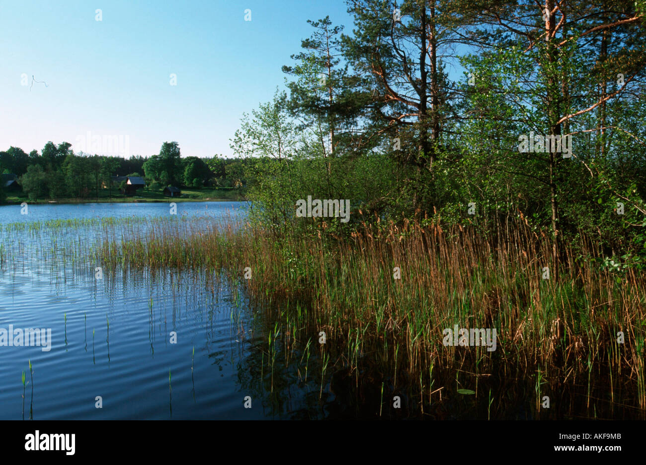 Labanoras hi-res stock photography and images - Alamy