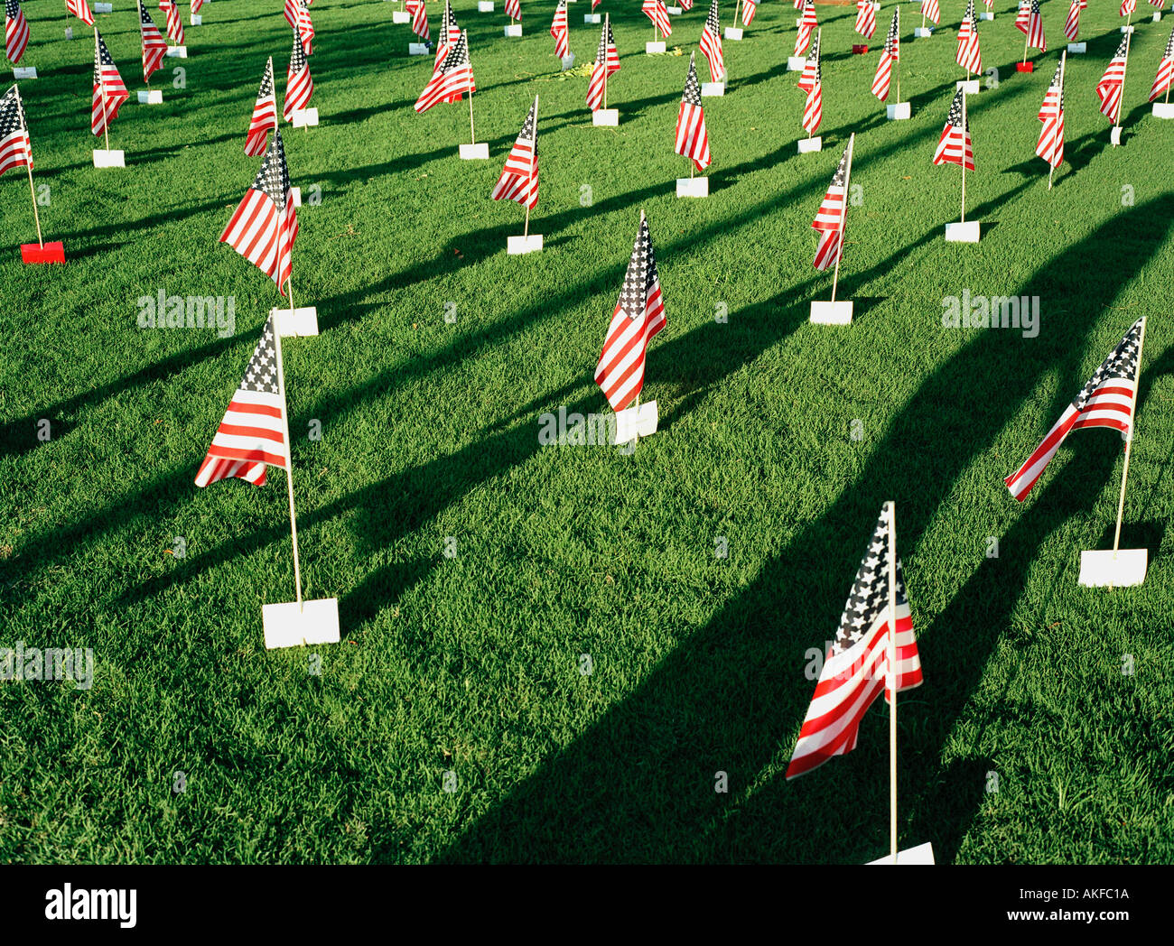 American flags Phoenix Arizona USA Stock Photo Alamy