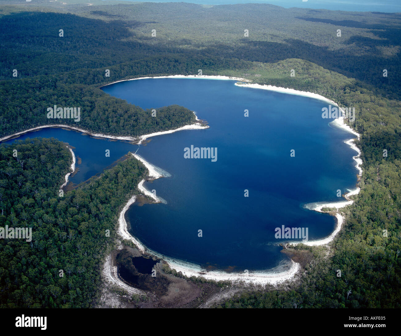 Lake McKenzie Fraser Island Queensland Australia Stock Photo Alamy