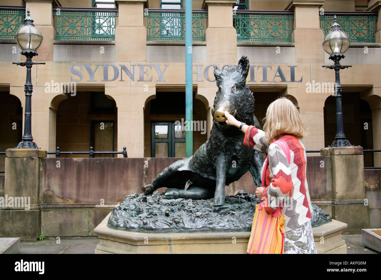 Sculpture of Il Porcellino,wild boar outside Sydney hospital with female tourist rubbing nose for good fortune. Stock Photo