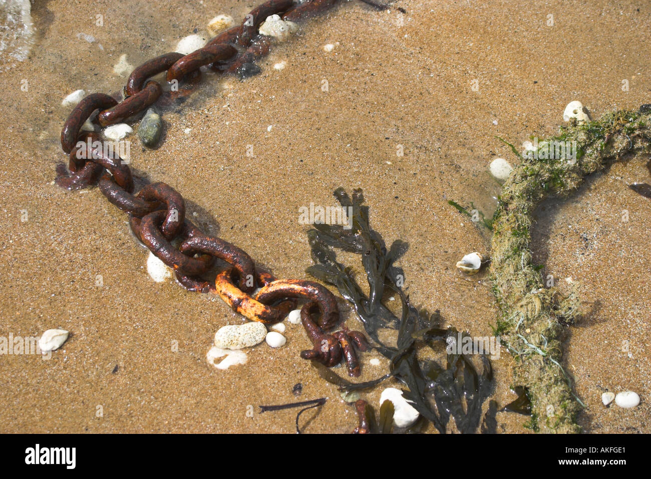 Seaweed on broadstairs beach hi-res stock photography and images - Alamy