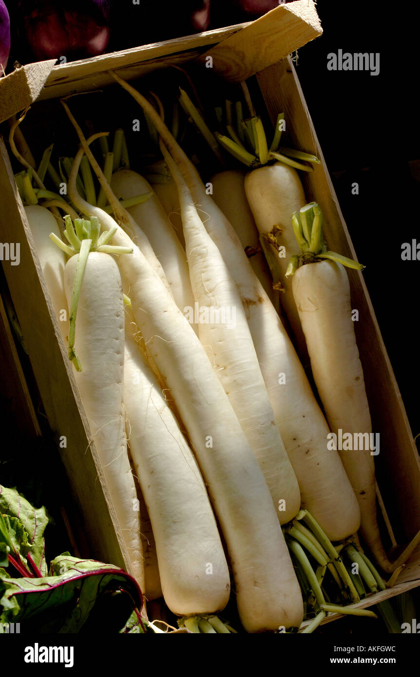 White turnips in box at an East Sussex farm shop. Picture by Jim Holden. Stock Photo