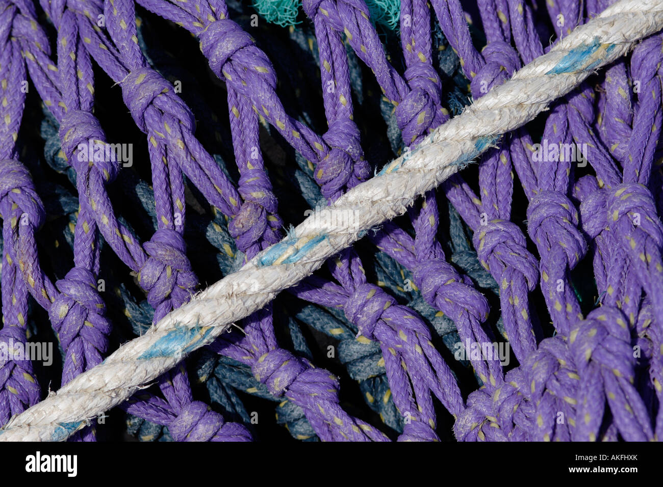 Detail of purple deep sea fishing nets and mooring rope Stock Photo