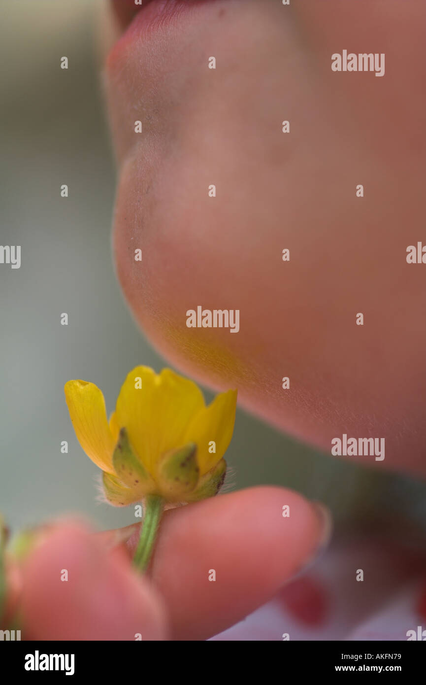 Do you like butter Child with a buttercup under her chin showing the