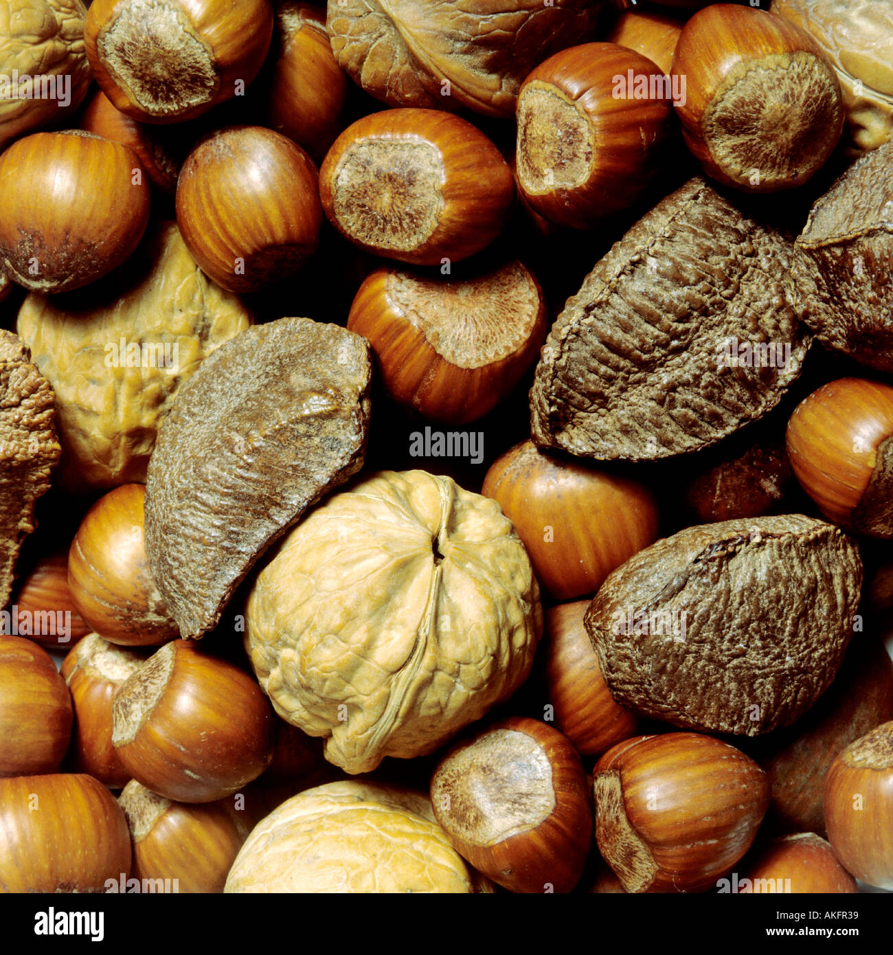 different nuts walnuts brazil nuts hazelnuts Stock Photo