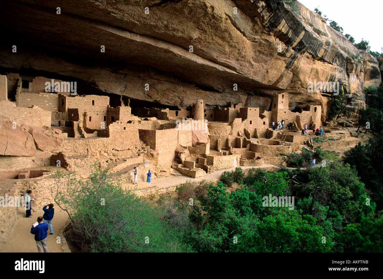 USA, Colorado, Mesa Verde Nationalpark, Cliff Palace,  the largest cliff dwelling in Mesa Verde National Park Stock Photo