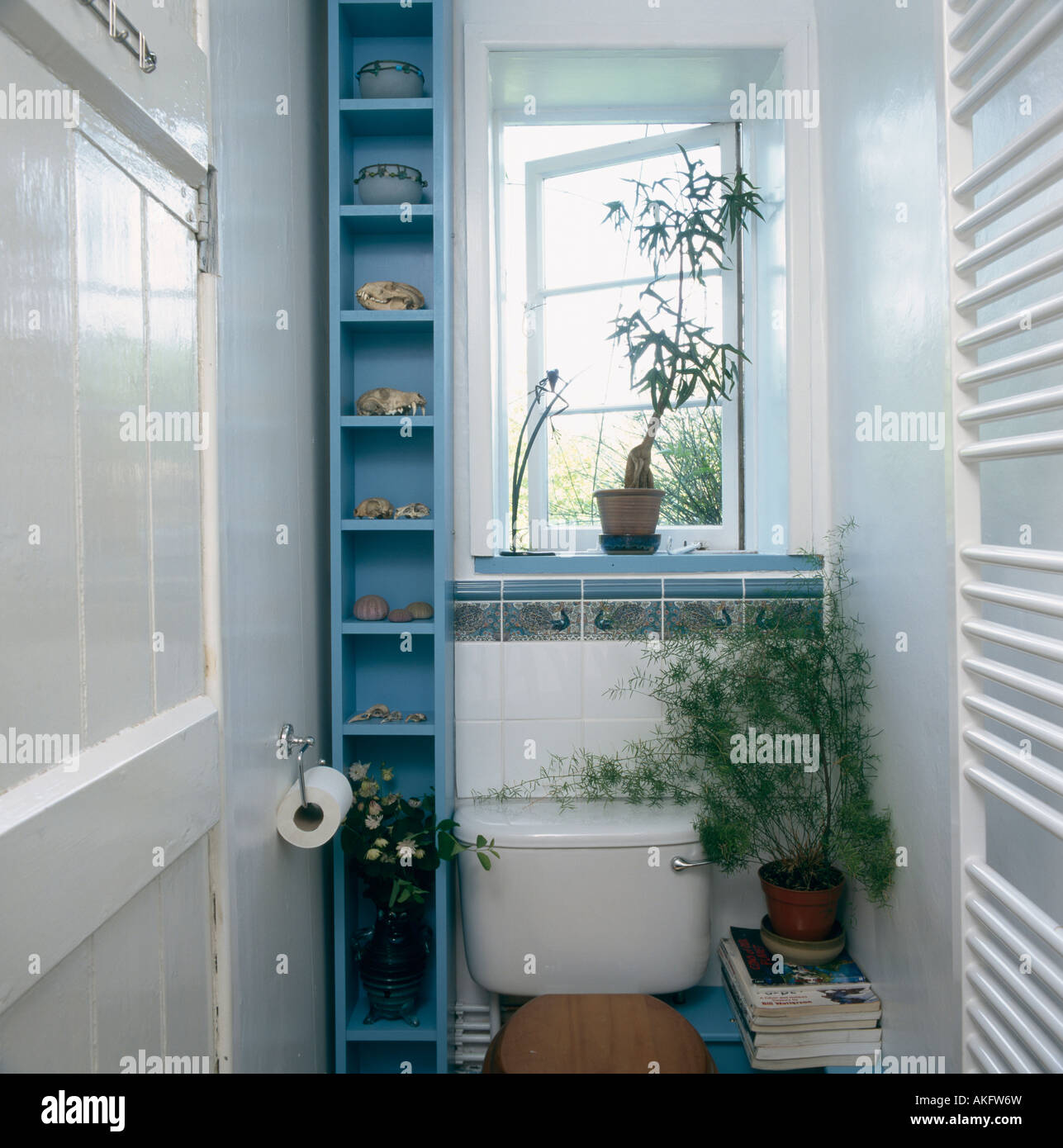 Vertical blue shelves beside toilet in small white cloakroom Stock Photo Alamy