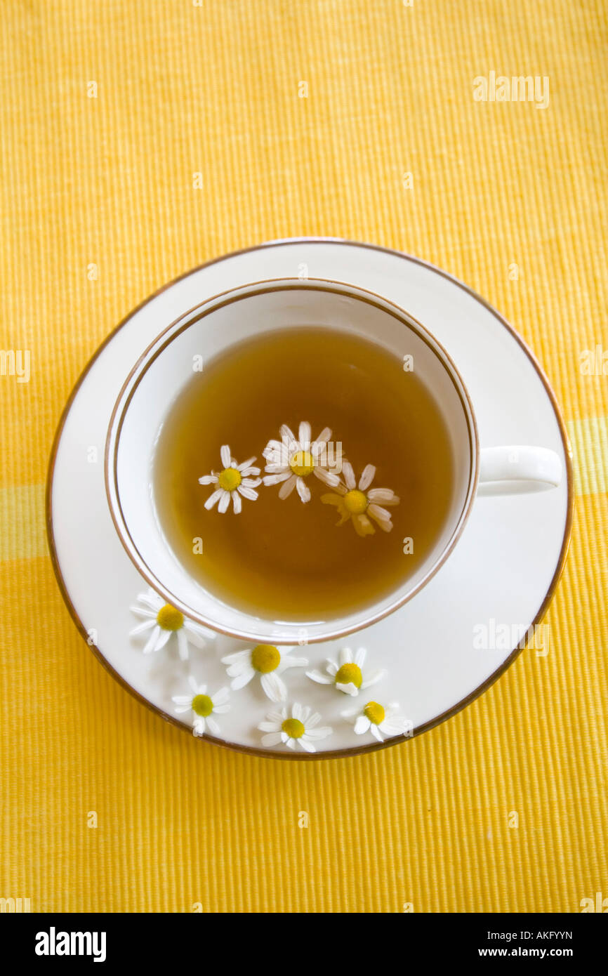 Golden camomile hi-res stock photography and images - Alamy