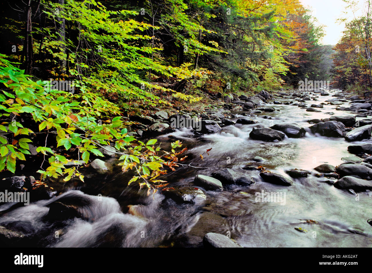 Water flows over rocks on an autumn day in New Hampshire Stock Photo