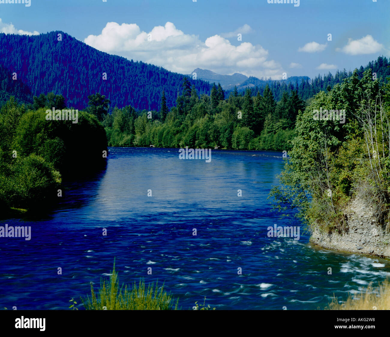 Blue waters of the McKenzie River drain winter snows from the crests of