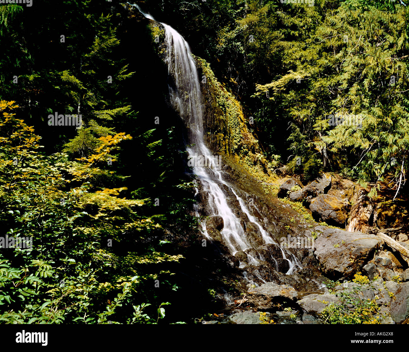 Thin ribbon of white water pours down Falls Creek Falls in Mount Ranier