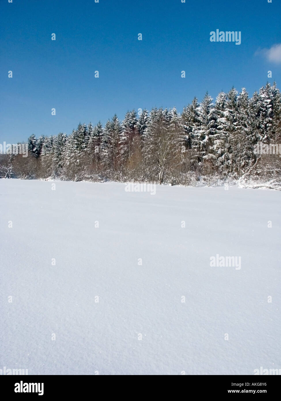 Zen frozen ice snow tree hi-res stock photography and images - Alamy