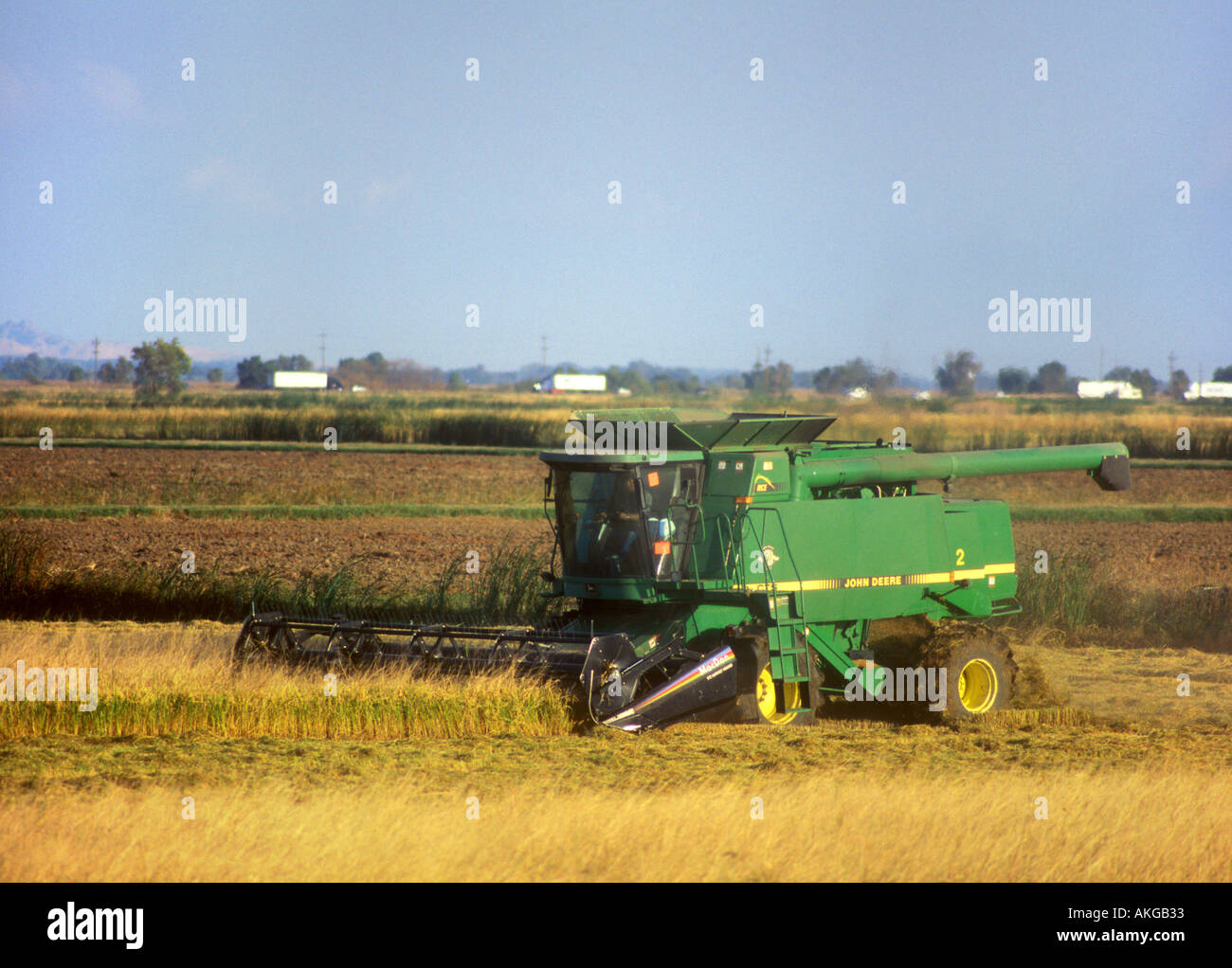 A rice combine harvests rice in the Sacramento Valley California Stock