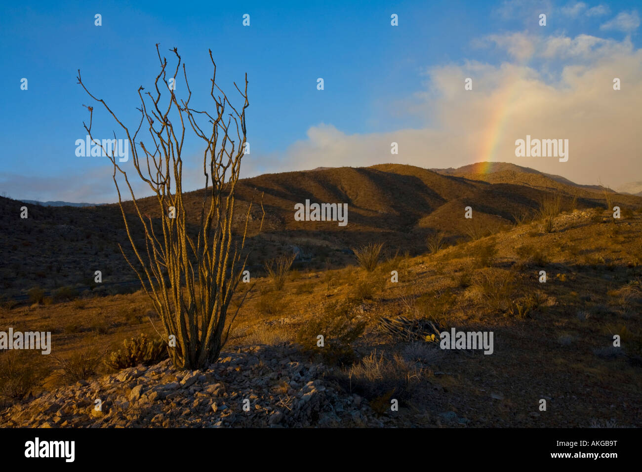 Rainbow In The Anza Borrego Desert State Park Borrego Springs San Diego ...