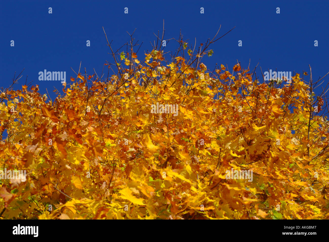 Moode hi-res stock photography and images - Alamy
