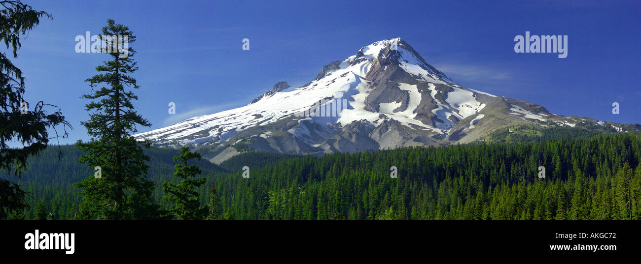 A panoramic view of Mount Hood Oregon Stock Photo