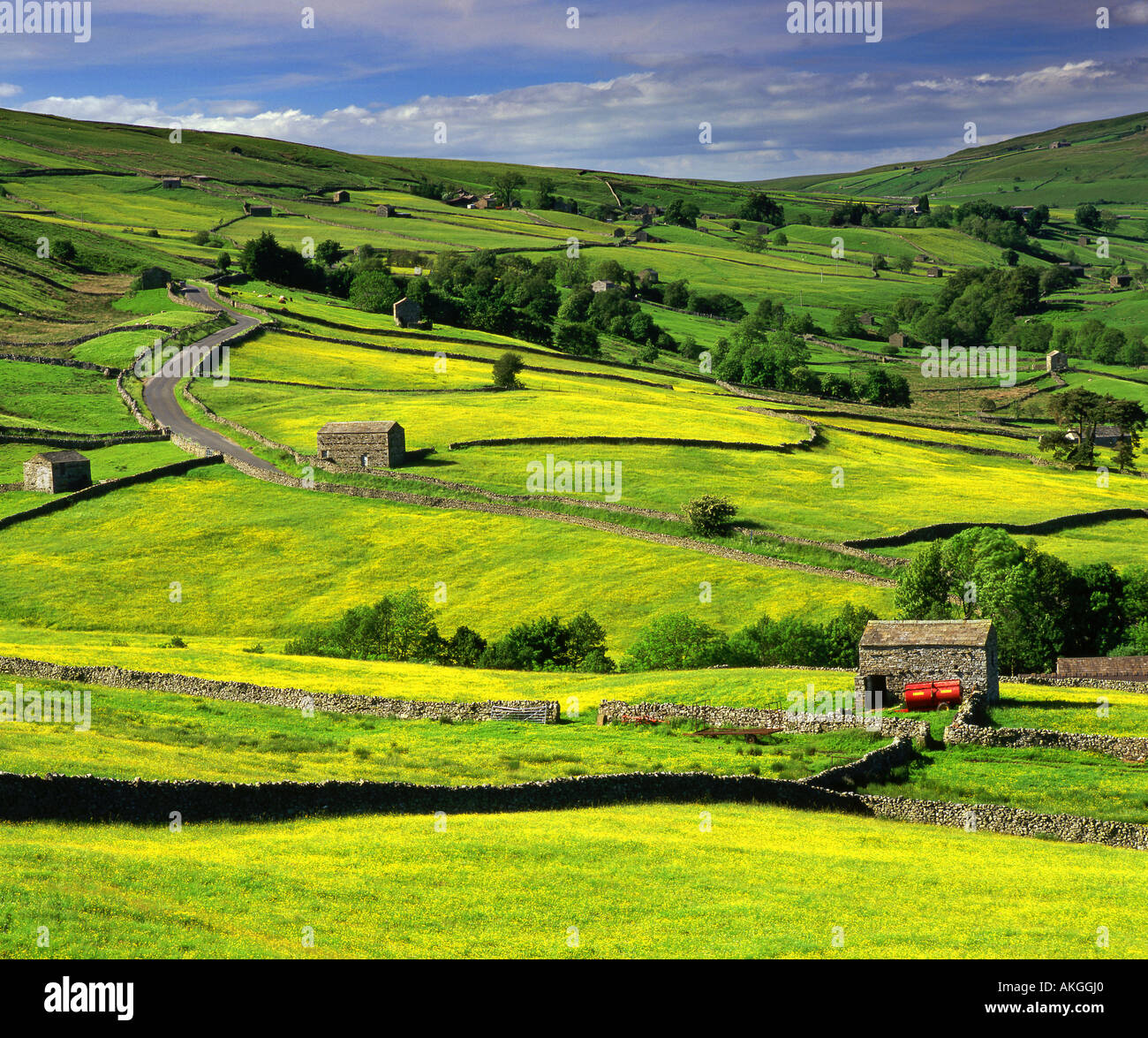 Stone Barns and Wildflower Meadows, Near Thwaite, Swaledale, Yorkshire Dales National Park, Yorkshire,  England, UK Stock Photo