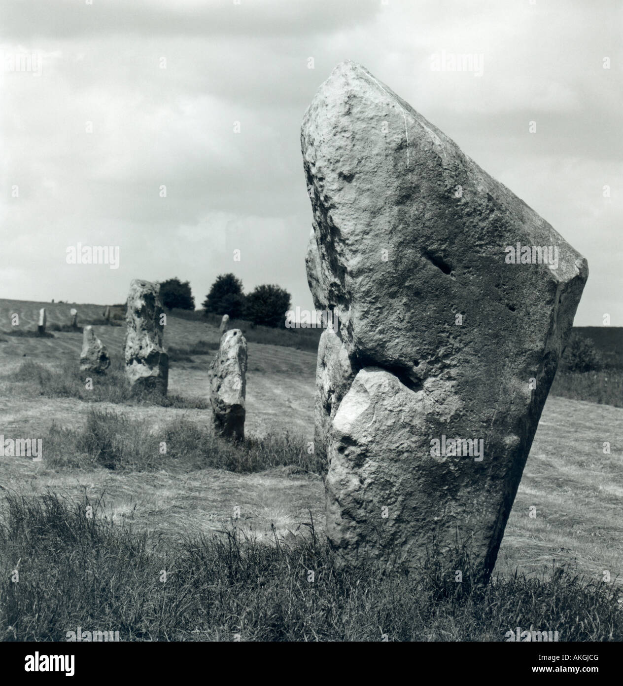 The Avenue, Avebury, Wiltshire, England. Black and white landscape, 1970s. Stock Photo