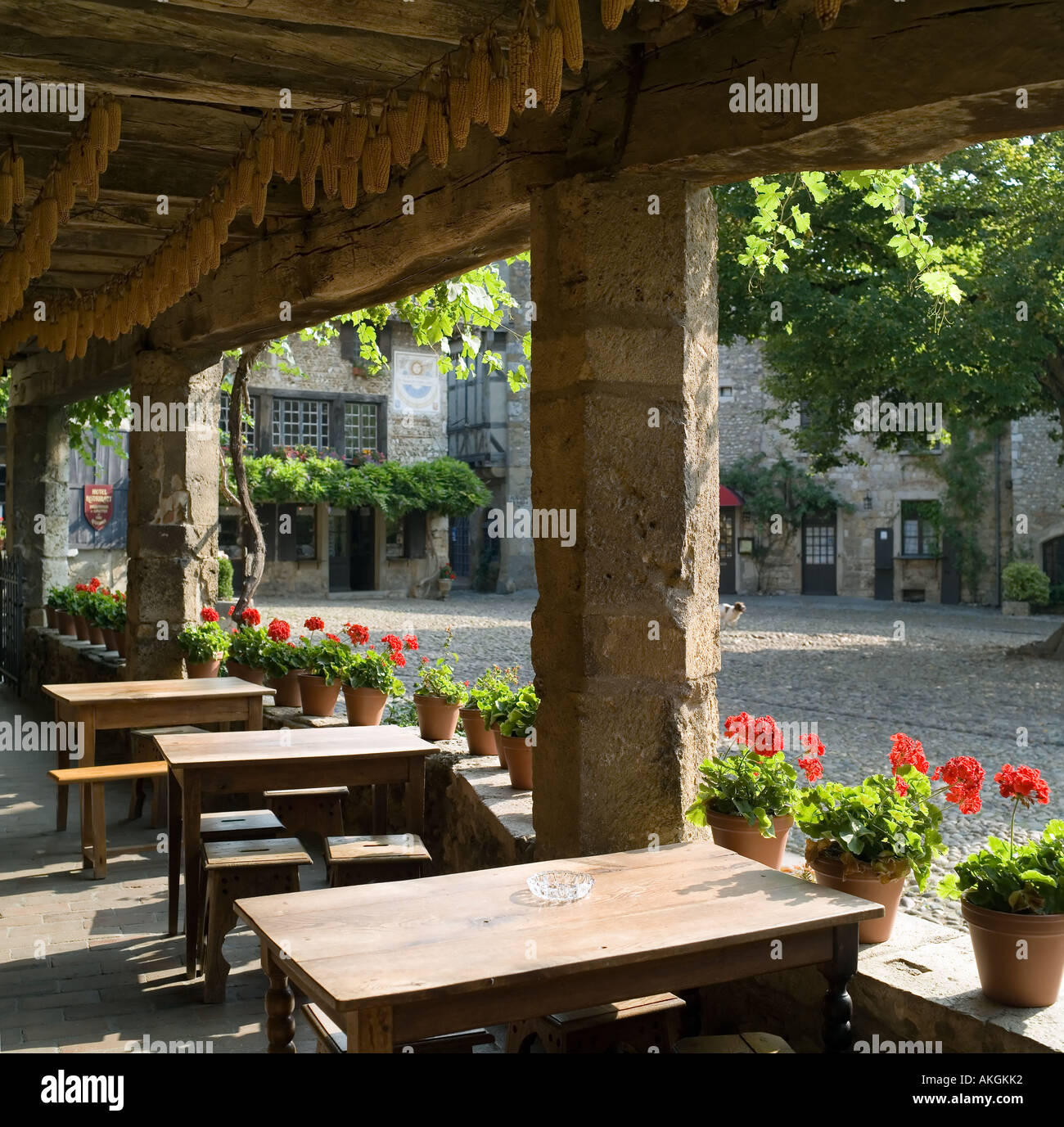 Café terrace, Place de la Halle square, place du Tilleul, red geranium ...