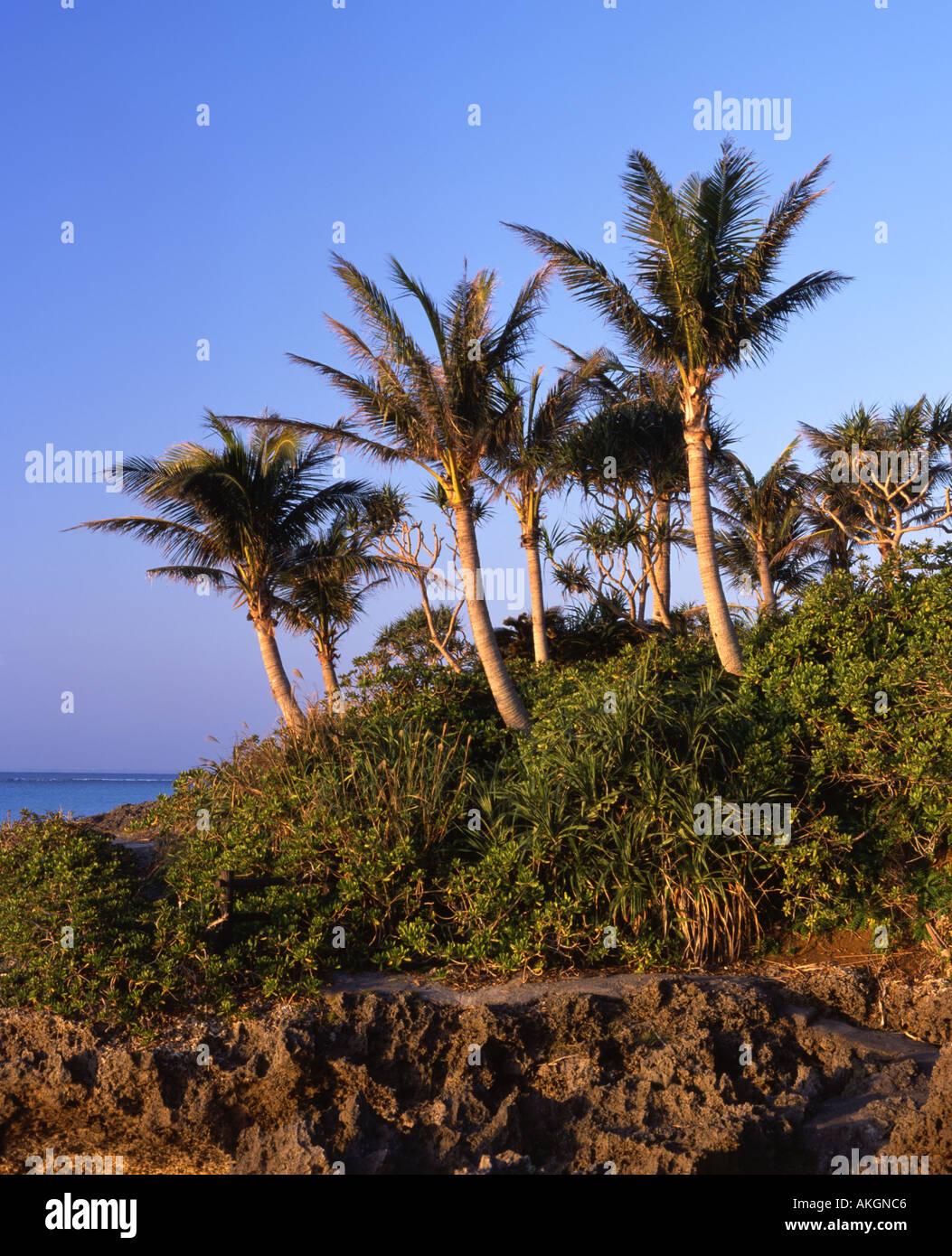 Onna okinawa hires stock photography and images Alamy