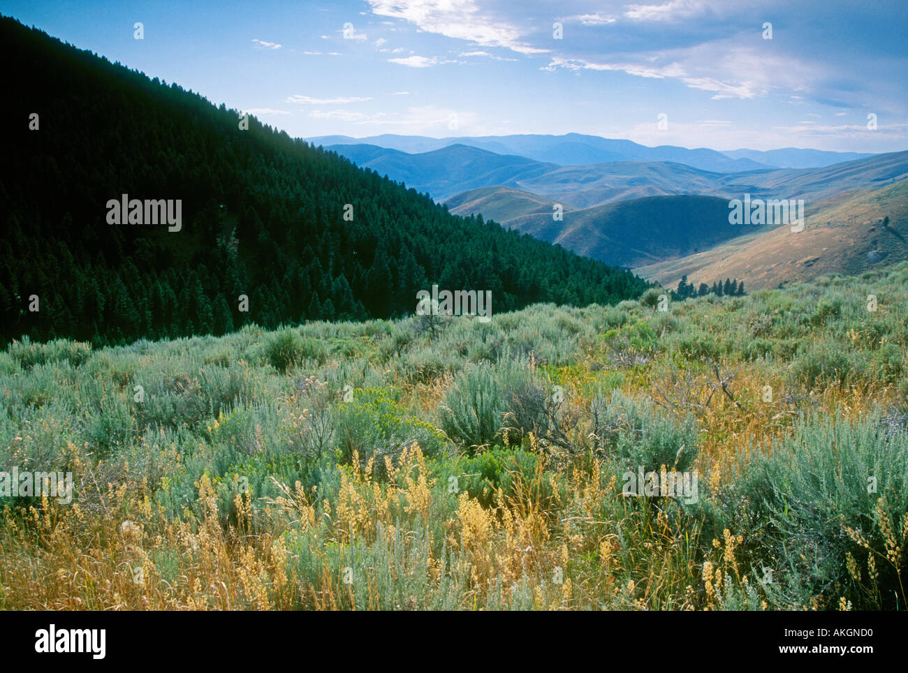 Lemhi Pass looking west to Idaho from the Montana border on the Lewis