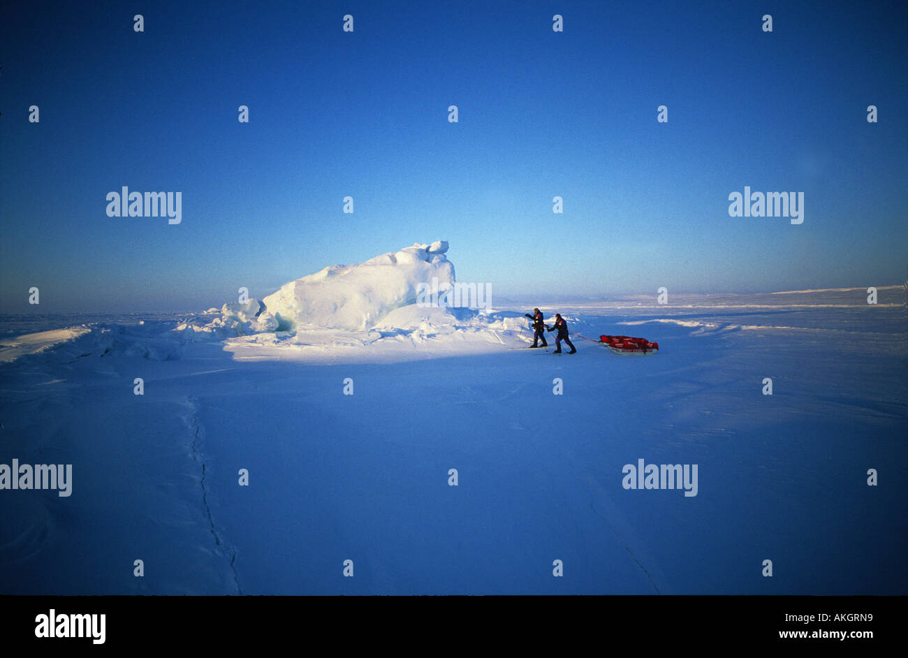David Hempleman Adams and Rune Gjeldnes trekking across the Arctic in preparation for an attempt on the North Pole Stock Photo