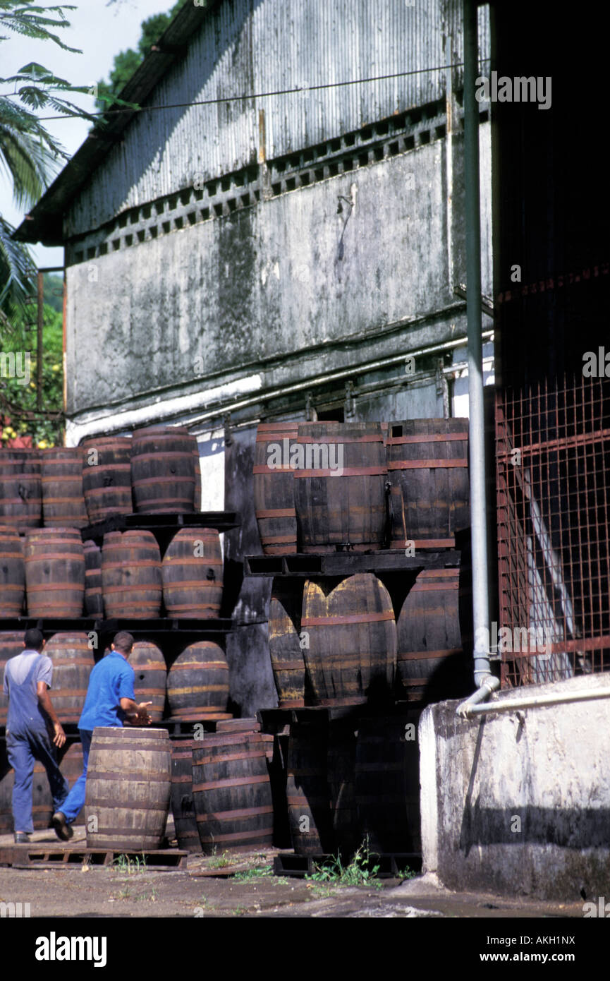 Storage, La Mauny distillery, Riviï¿½re-Pilote, Martinique, French Lesser Antilles, West Indies, Central America Stock Photo