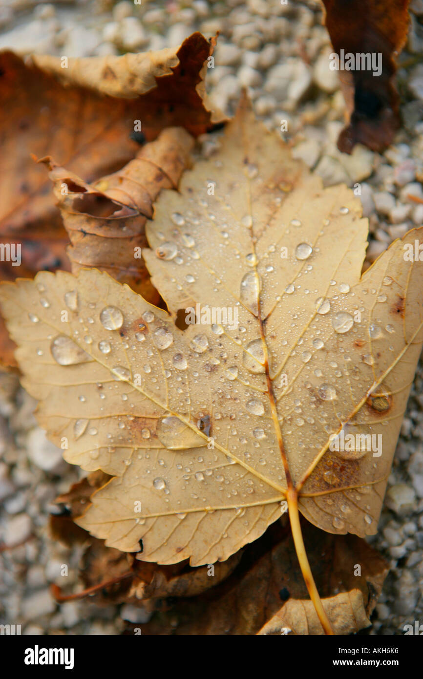 Moode hi-res stock photography and images - Alamy