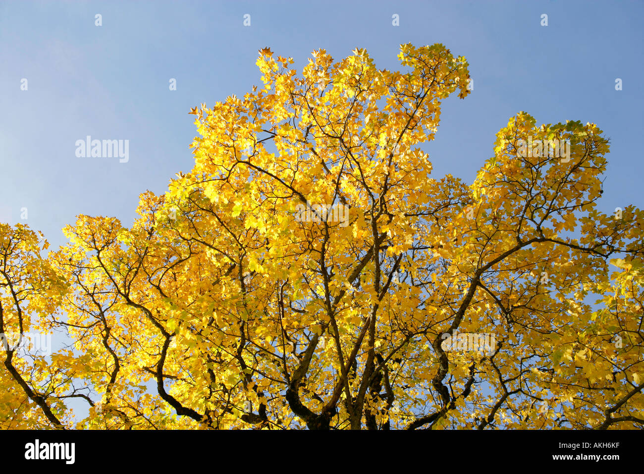 Moode hi-res stock photography and images - Alamy