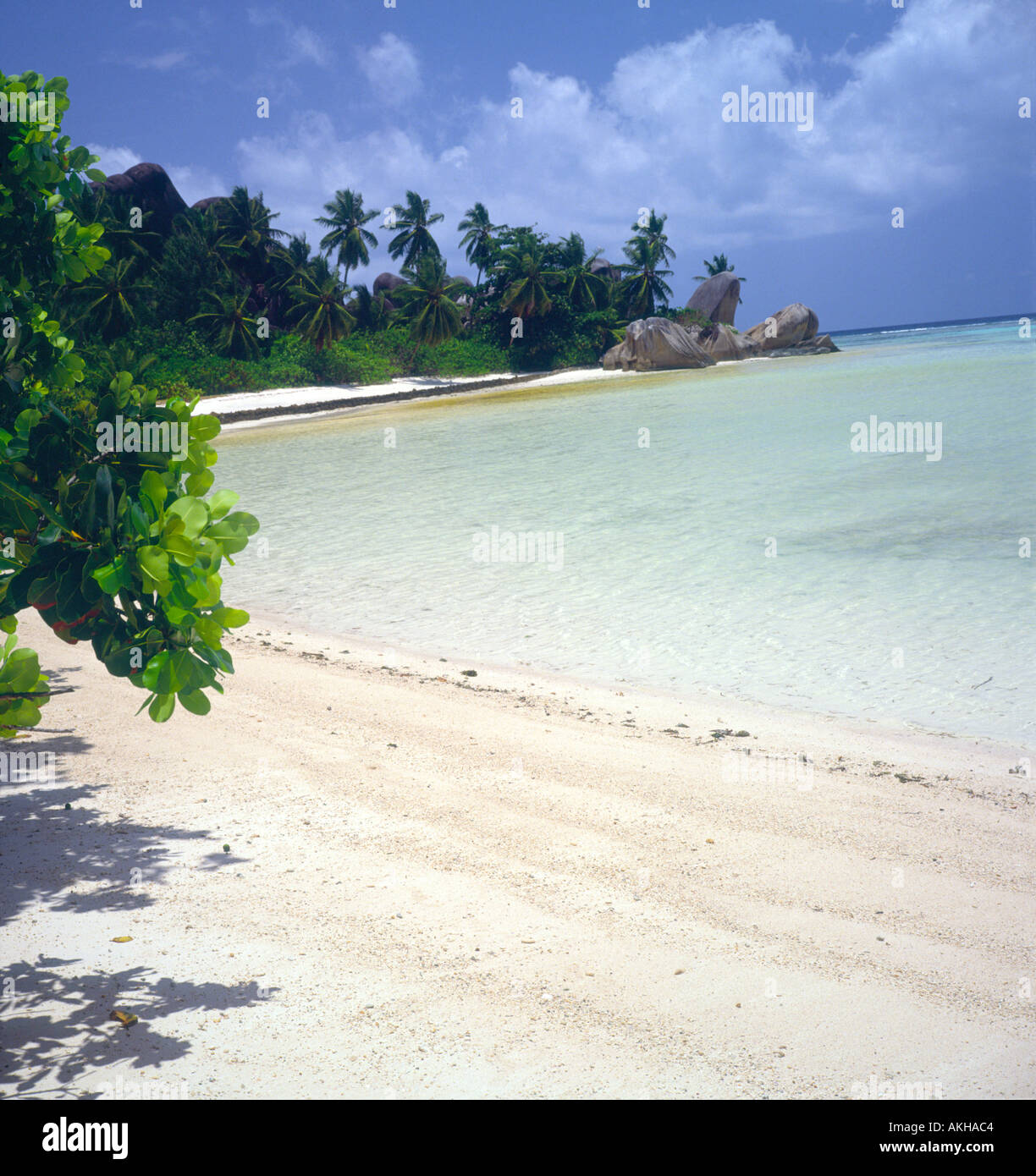 Anse aux Pins beach Mahe Seychelles Stock Photo Alamy