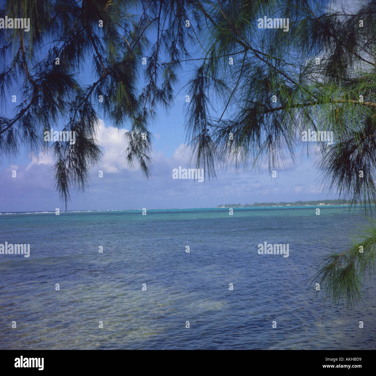 Beach Grand Cayman Cayman islands Stock Photo - Alamy