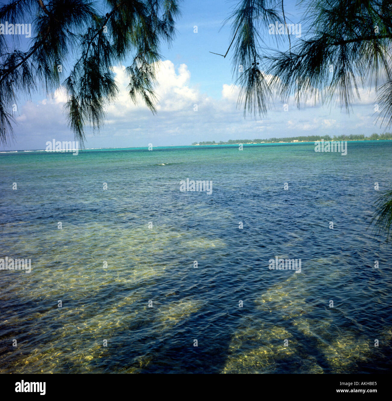 Beach Grand Cayman Cayman islands Stock Photo - Alamy