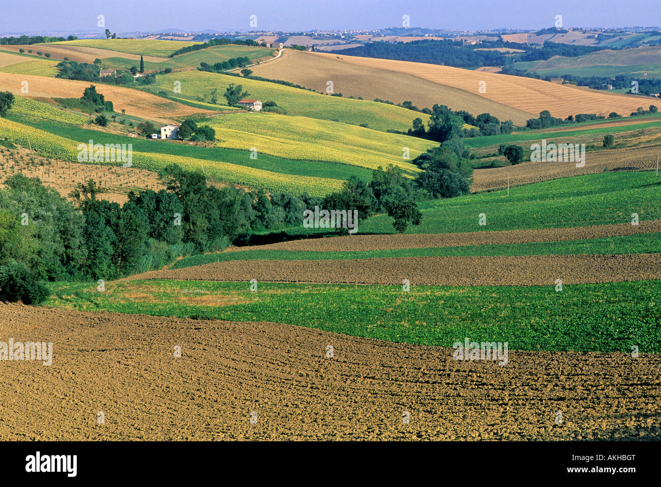 Countryside, Osimo, Marche, Italy Stock Photo - Alamy