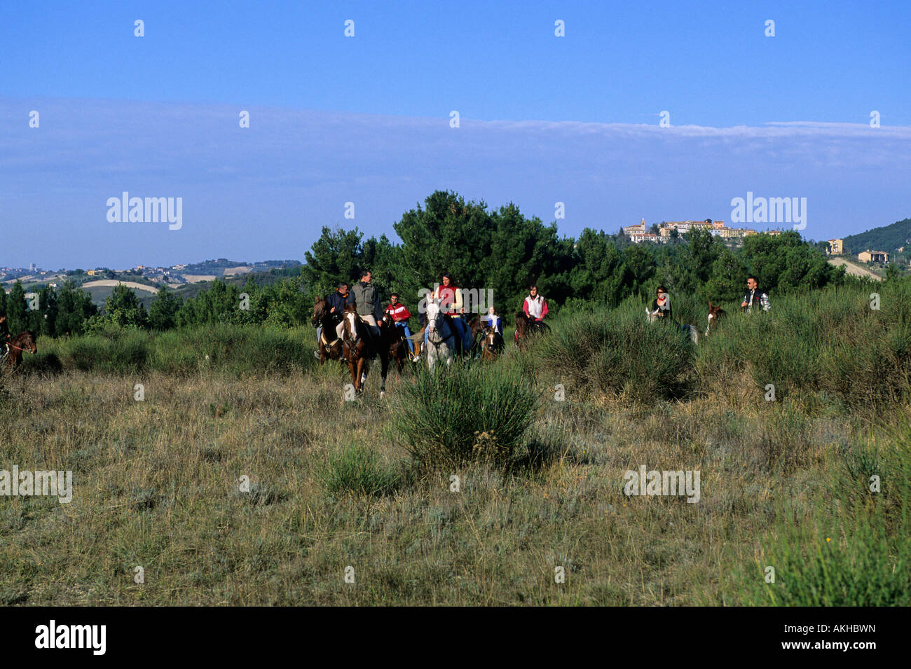 Horse trekking, Massignano, Marche, Italy Stock Photo