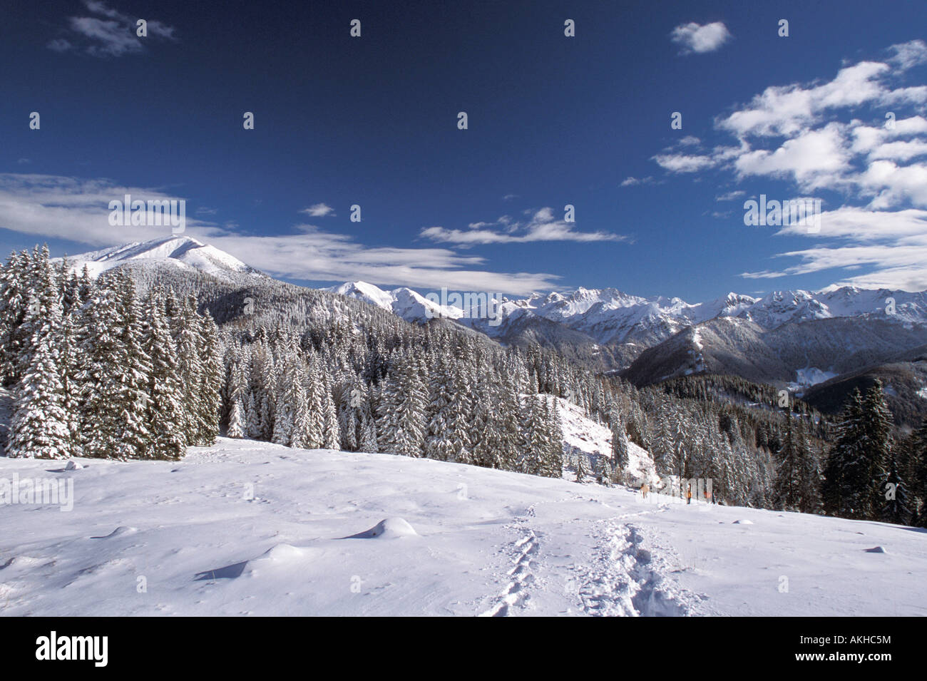 Trekking, Malga Cambroncoi, Costalta mountain, Valle dei Mocheni ...