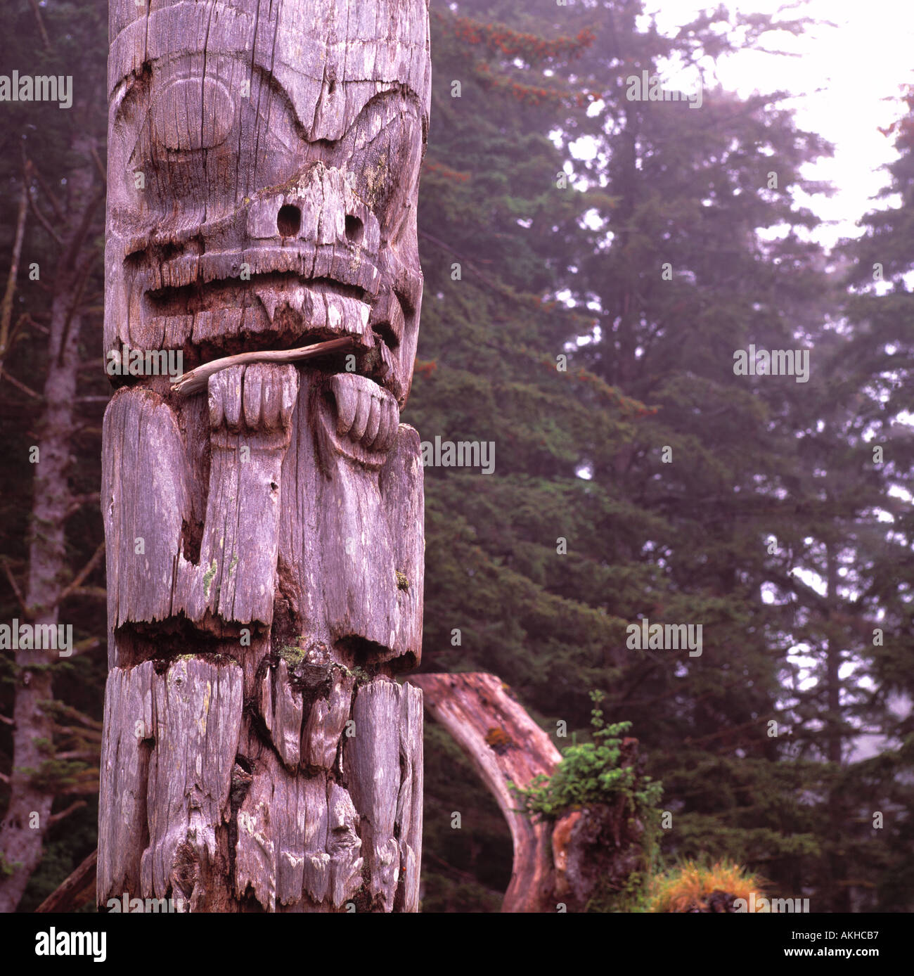 Ninstints, Haida Gwaii, (Queen Charlotte Islands), BC, British Columbia
