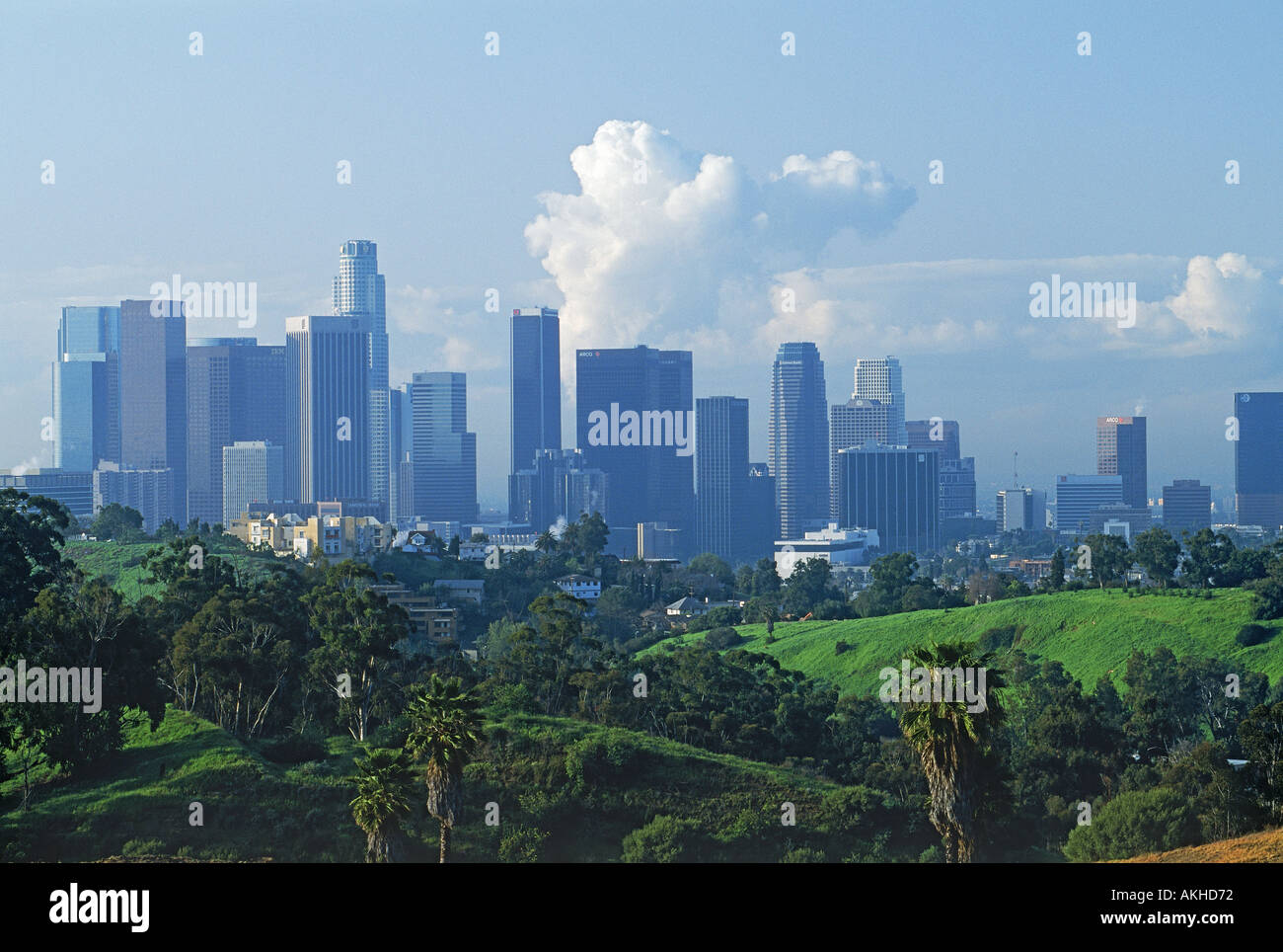 Downtown Los Angeles skyline from Elysian Park Stock Photo