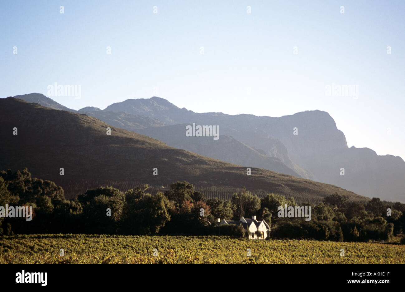 Farm house in Wine Valley  Stock Photo