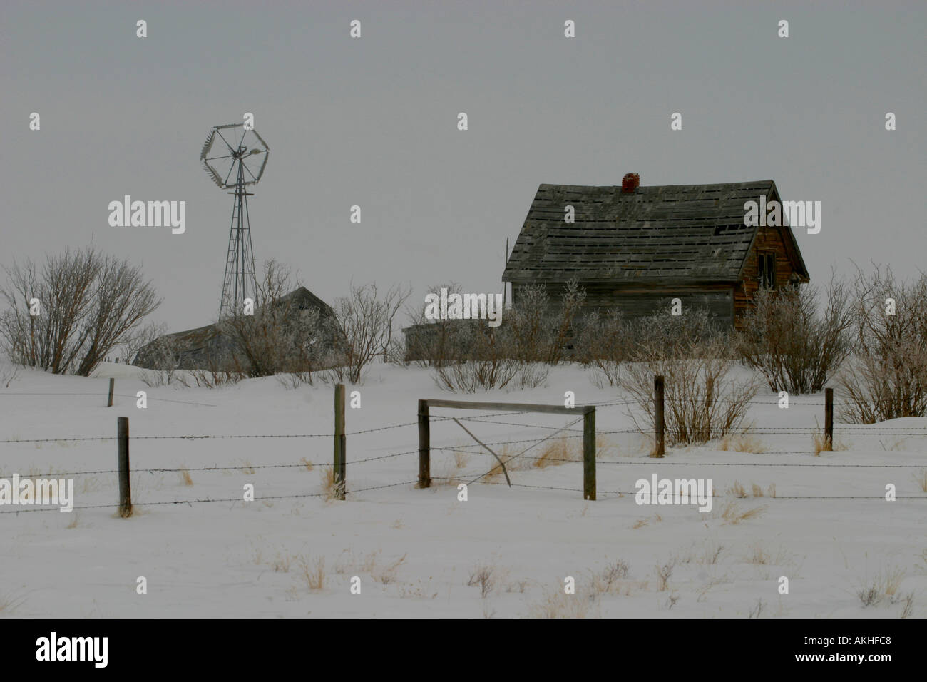 Old prairie farm Stock Photo Alamy