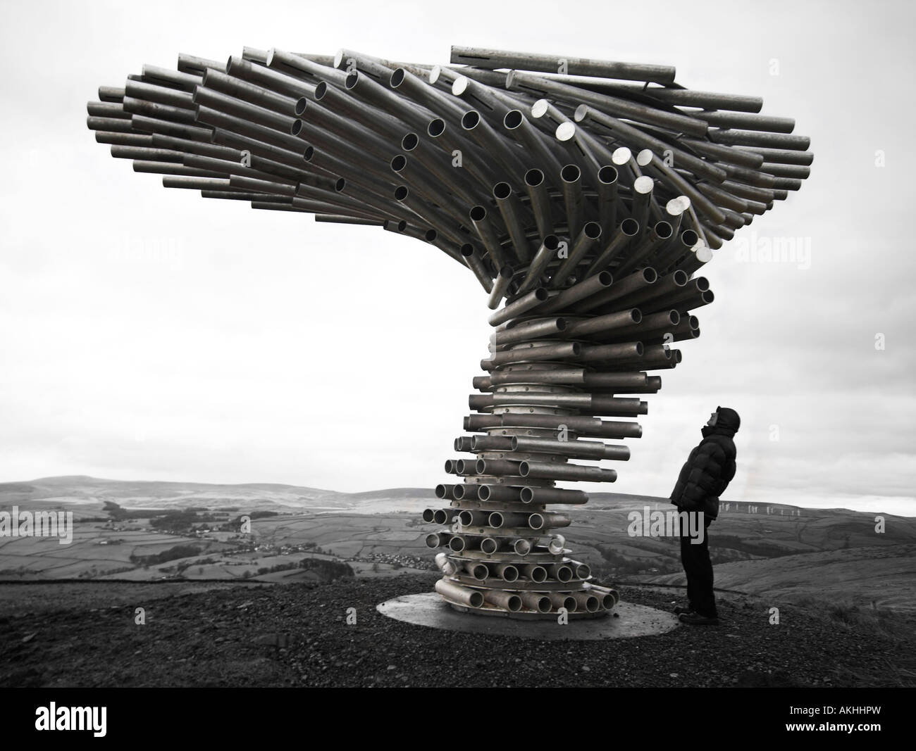 27+ The Singing Ringing Tree Burnley Background