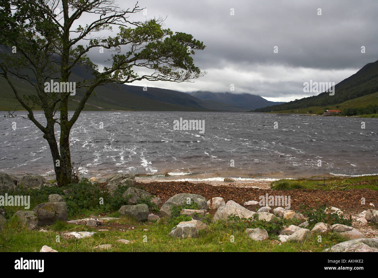 Strong wind rain hi-res stock photography and images - Alamy