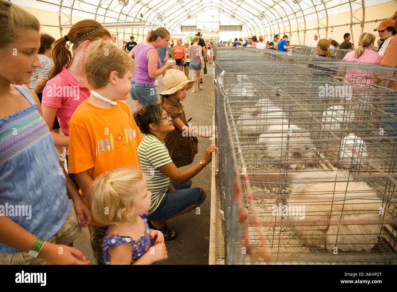 WISCONSIN Milwaukee Children and adults look at rabbits in cages
