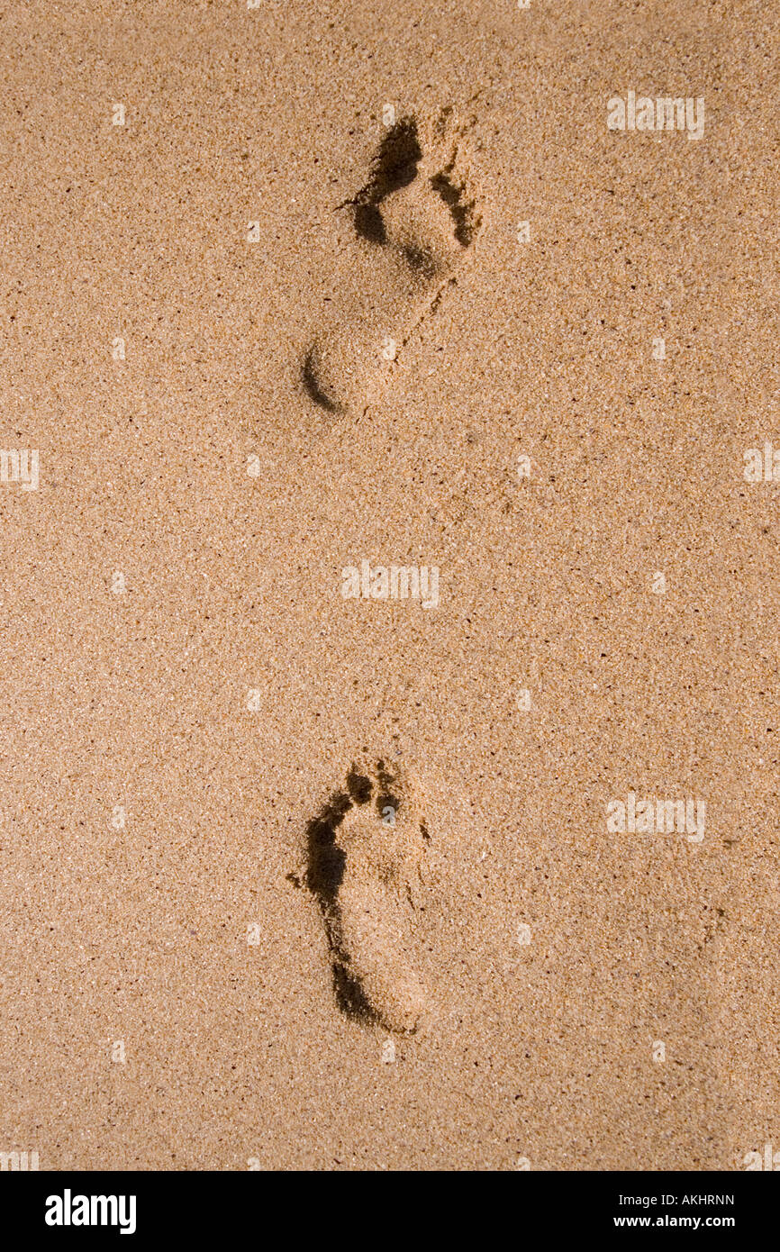 Footprints in the sand Stock Photo