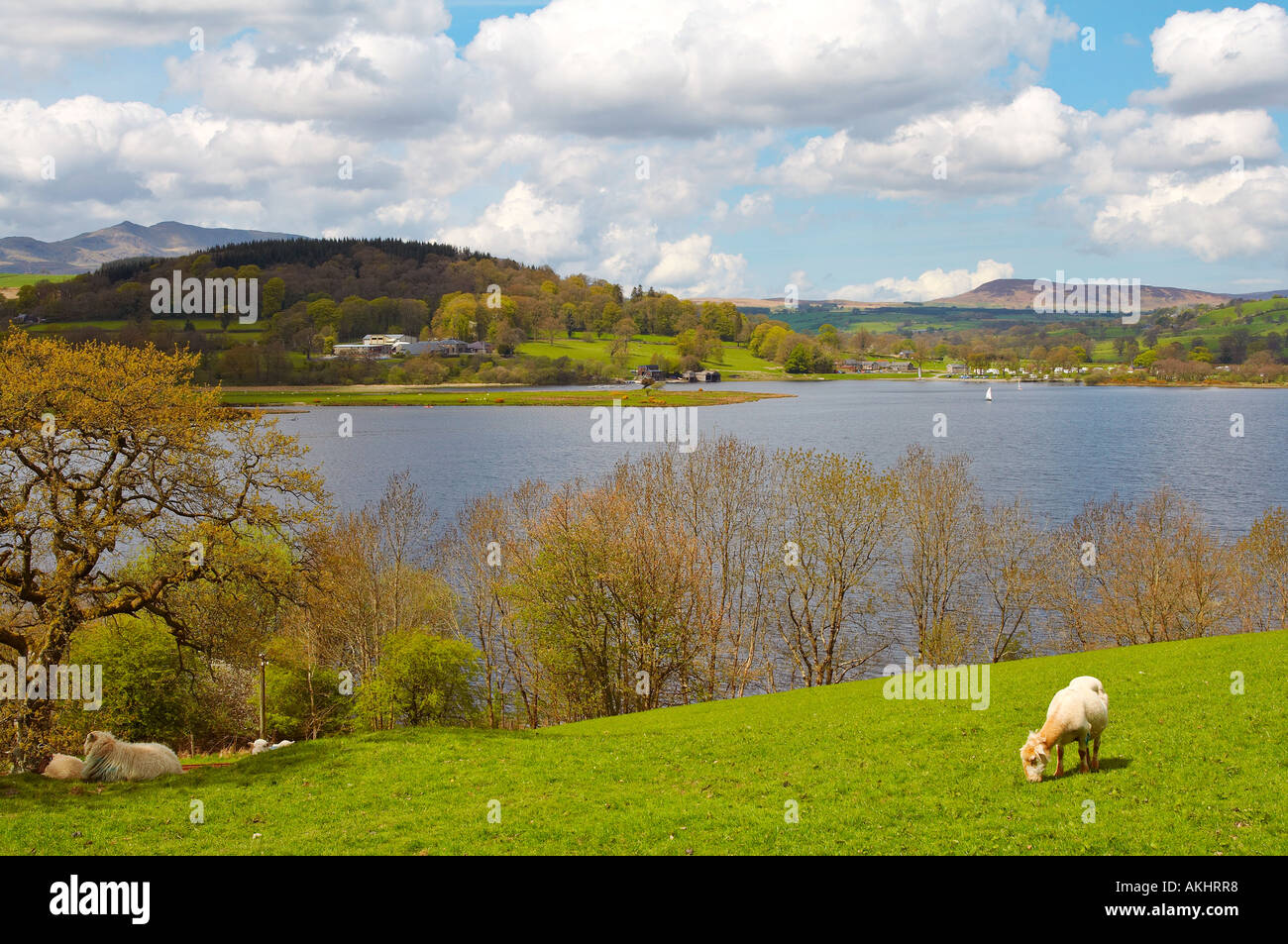 Rural landscape hi-res stock photography and images - Alamy