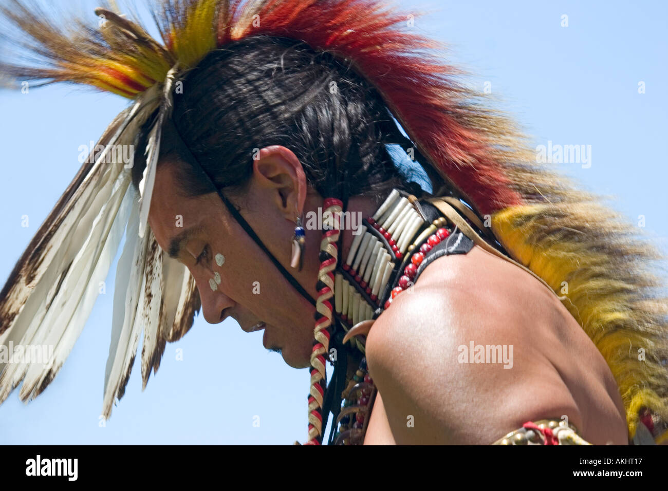 Profile of a Native American wearing a feathered headdress Stock Photo