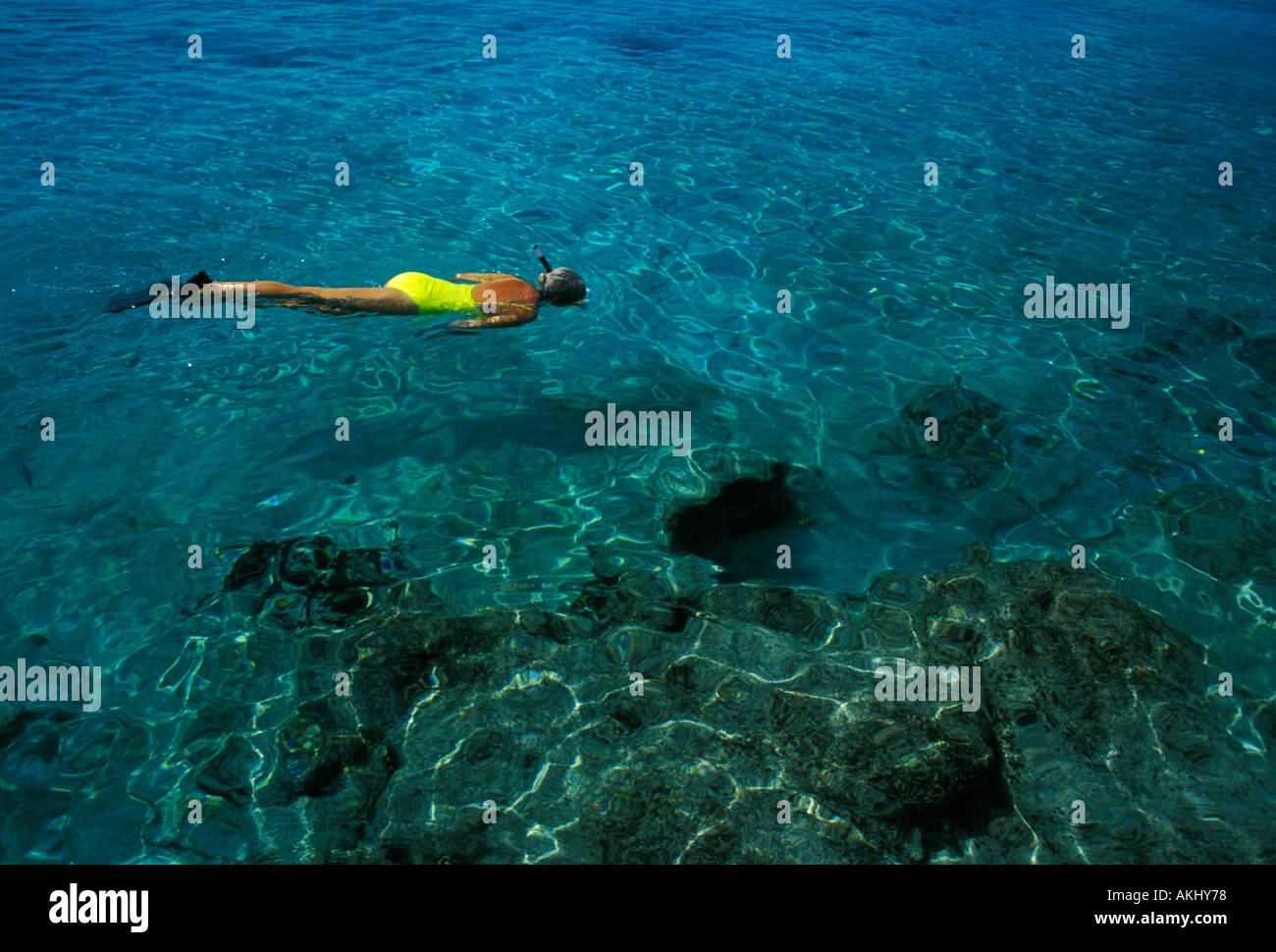 Cozumel Mexico Snorkeling High Resolution Stock Photography and Images ...
