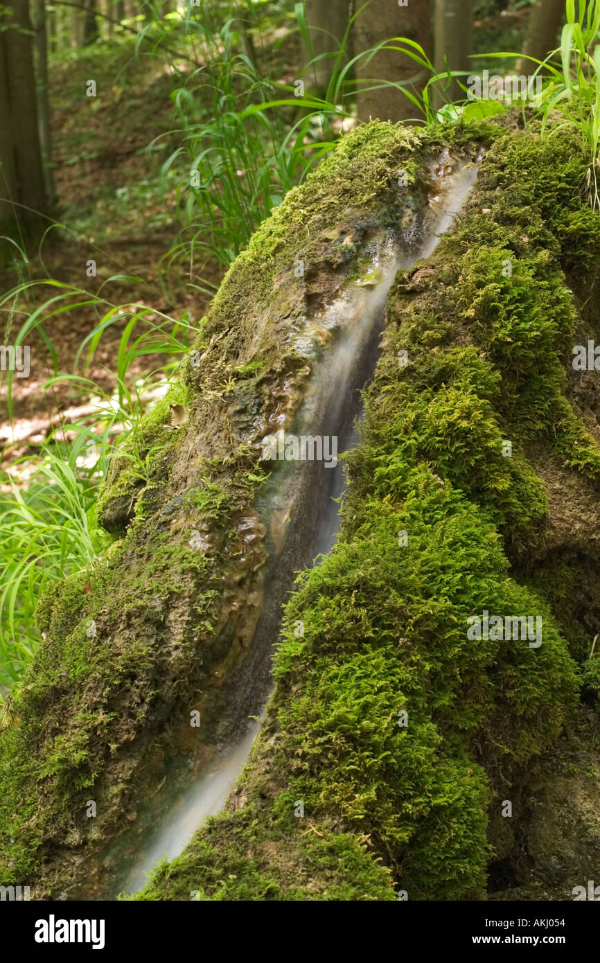 limestone groove near Wolfsbronn Franconia Stock Photo